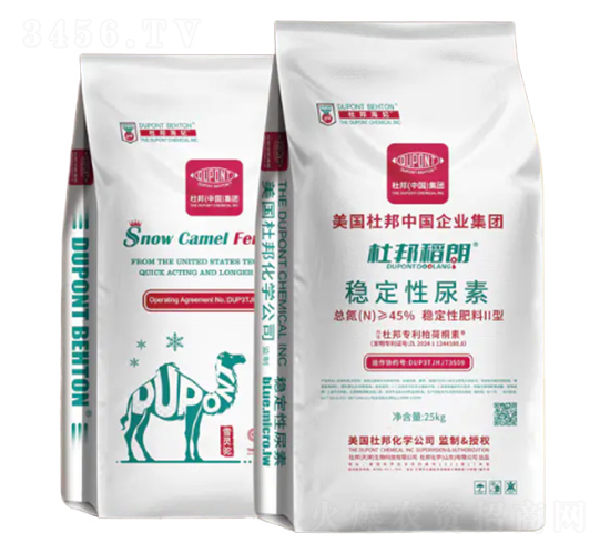 ��(w��n)��������-�Ű��-�Ű�