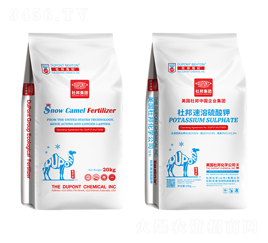 ���������-�Ű��-�Ű�