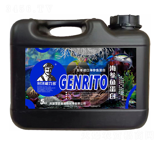 �ձ��M�ں����~����-������-����