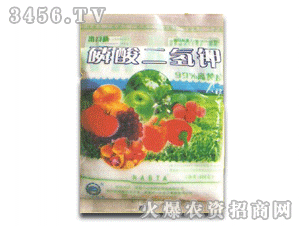 һ��-��������400g