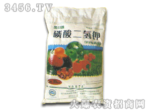 һ��-��������99%