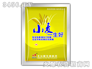 ������-С��һ���ã��Ͷ���