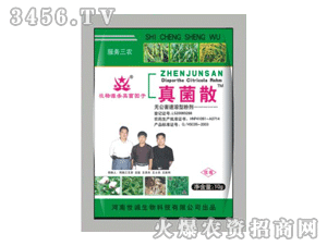 ���\���ɢ