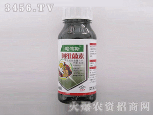 ���S˹-���S����