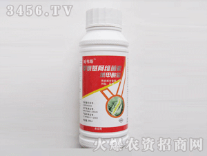 ���f˹-�װ������S���ر�����