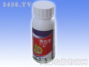 ���S˹-ݬȥ��