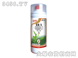 ���Ԫ-�����R