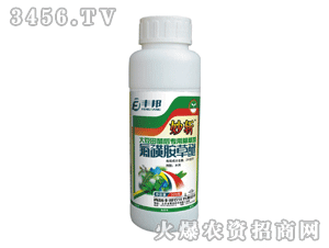 ���-���ǰ�����