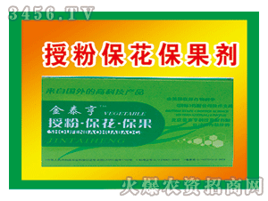 ��̩��-�ڷ۱���������