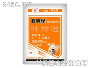 �ڵ���-�ؿ��ǣ��~����