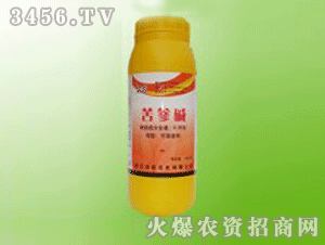 ����-��������A