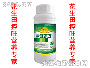 ������-������