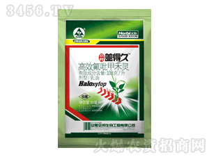 ����-�w�þ�