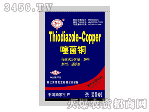 ����-20%����~SC