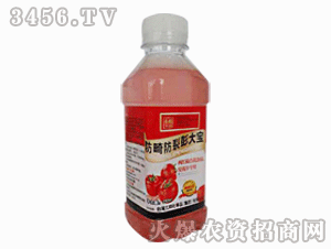 ����ʘI(y��)-���ѷ����������