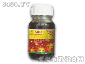 ̩�-���׻�