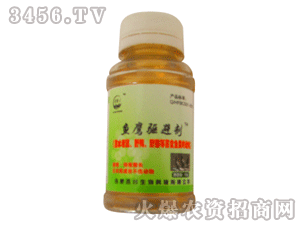 �ٴ�-�~���(q��)�܄���ƿ�b��