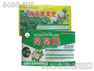 �ٴ�-�C�C��