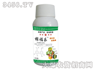 �ٴ�-�ڸ���(l��)