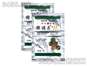 �ٴ�-�ڸ���(l��)������