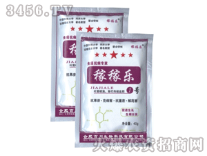 �ٴ�-�ڼژ�(l��)1̖(h��o)