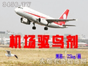 �ٴ�-�C(j��)���(q��)�B��