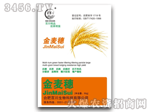 �ٴ�-������