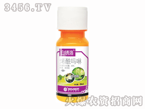 ��ِ��-���P��