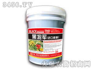 ������-�ڌ�܊