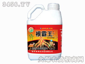 ������-������