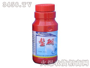 �W��˹-����