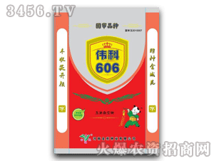 ��Է-����606-���׷N��