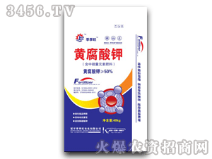 ������-�S�����