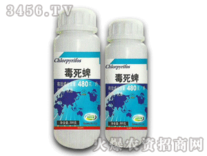 ����-480��/��������