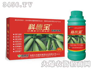 �Ƶ�-�����J����