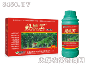 �Ƶ�-�۲ˌ���