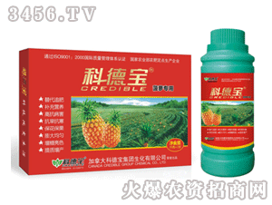 �Ƶ�-���}����