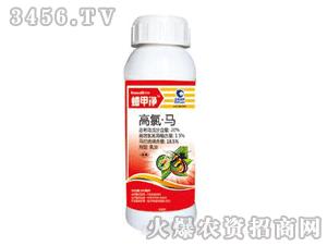 ���׃�-�����R