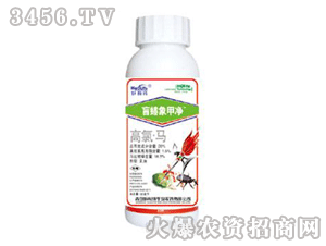 ä����׃�-�����R