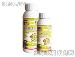 �˹�-�װ������S���ر������}