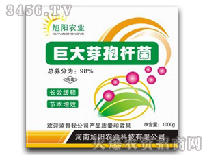 �޴�ѿ�ߗU��