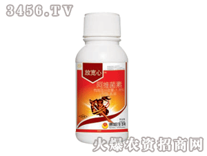 �Ō��İ��S����