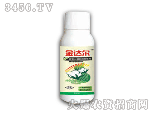 ���_�������ײݰ�����