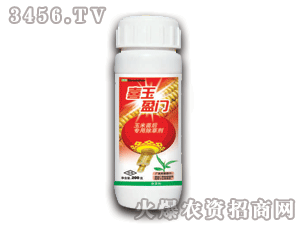 ̩�(y��ng)-ϲ��ӯ�T(m��n)