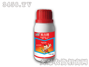 ������-���x��100��