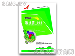 �Ӽ���-������968��ʩ��