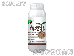 ������-���ϸ�