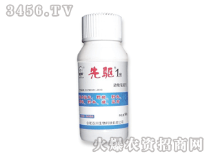 �ٴ�-���(q��)1̖(h��o)-��(d��ng)���(q��)�s��