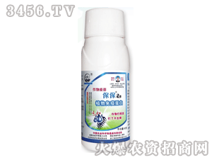 ��������-����2̖(h��o)