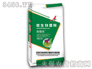 ����ʩ΢�������